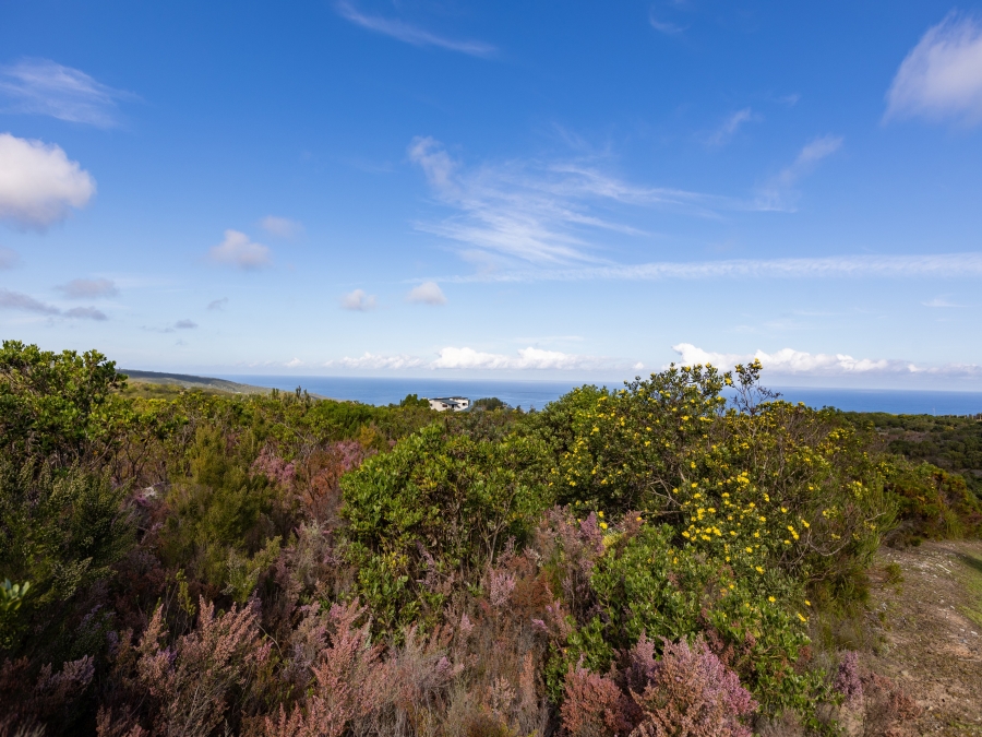 0 Bedroom Property for Sale in Pezula Private Estate Western Cape